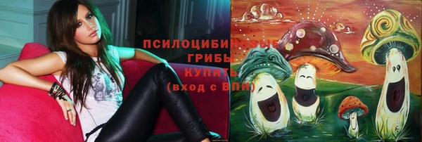 мет Белокуриха